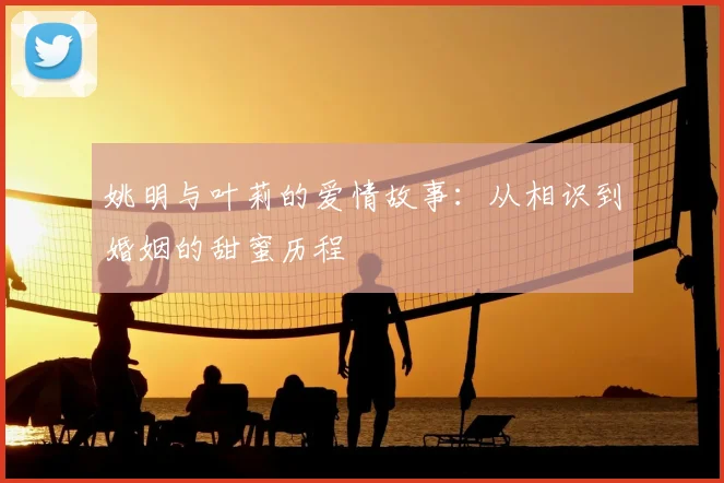 姚明与叶莉的爱情故事:从相识到婚姻的甜蜜历程